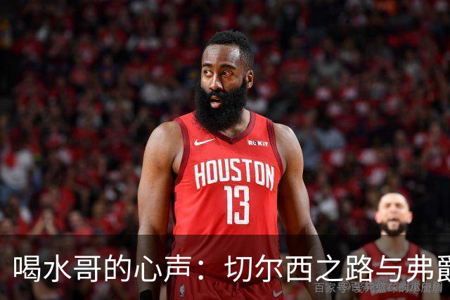 喝水哥的心声：切尔西之路与弗爵的合同怪事